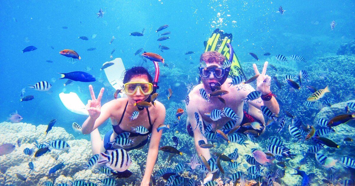 Dwoje snorkelujących wśród gęstej ławicy pręgowanych ryb nad rafą podczas rejsu na Wyspę Paradise