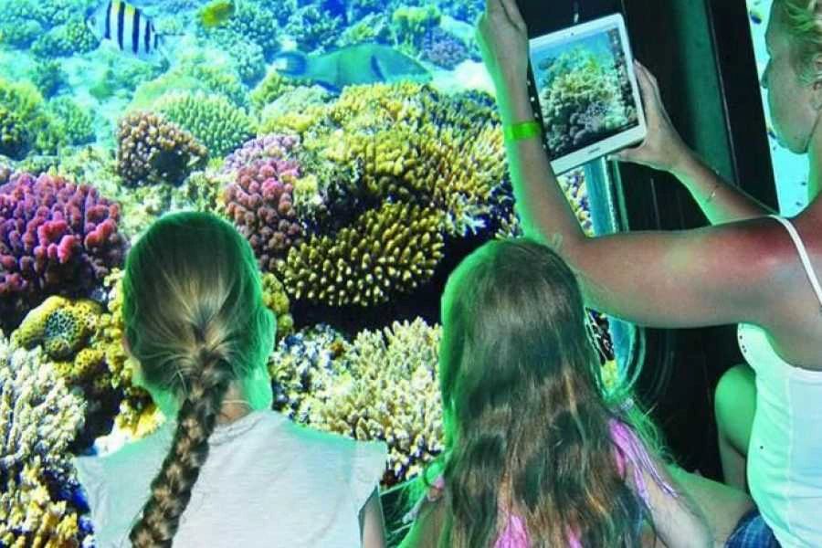 Kolorowa rafa koralowa Morza Czerwonego widziana przez panoramiczne okno łodzi Seascope w Marsa Alam