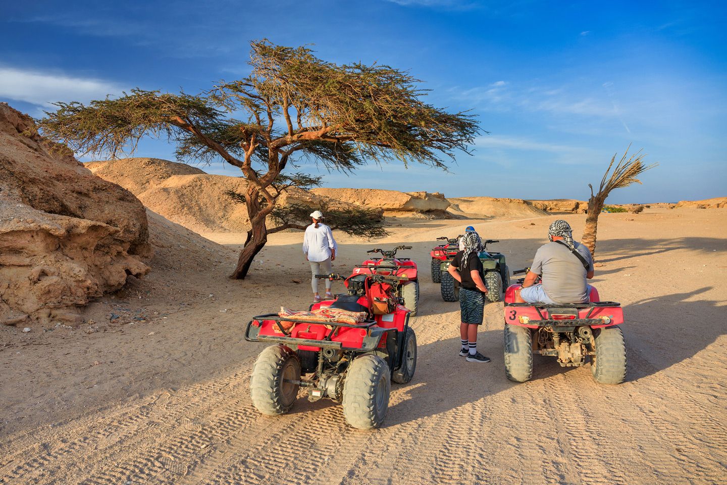 Grupa na quadach przy akacji w złotym świetle podczas Super Safari Sahara Park z Hurghady