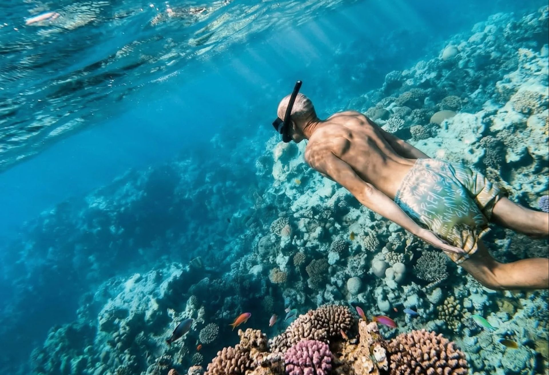 Snorkelujący mężczyzna w masce płynie tuż nad rafą koralową w przejrzystej, błękitnej wodzie