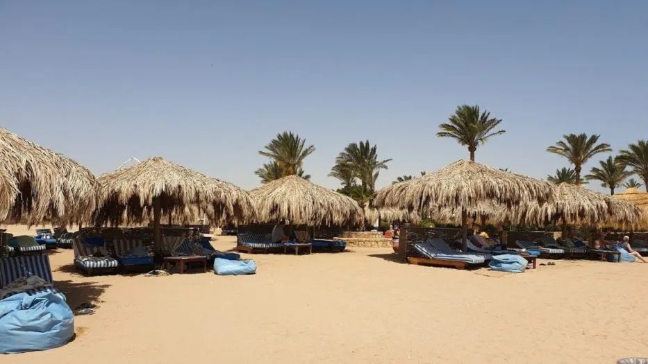 Plaża Sharm el Naga z parasolami z suchych liści palmowych, leżakami i palmami w słoneczny dzień