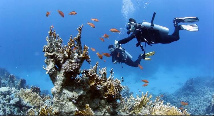 Dwóch nurków z butlami nad rafą koralową podczas nurkowania z plaży w Marsa Alam