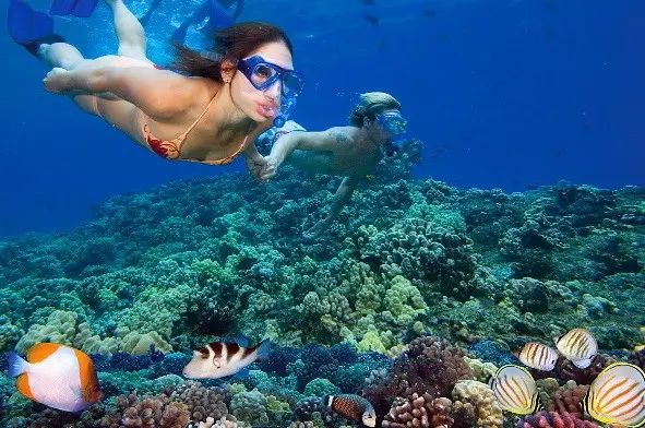 Dwoje snorkelujących nad rafą koralową Morza Czerwonego podczas wycieczki na wyspy Hamata z Marsa Alam