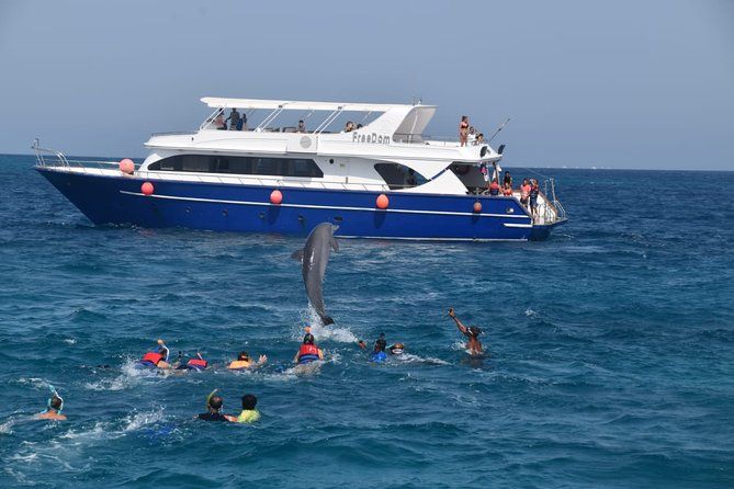 Łódź wycieczkowa na Morzu Czerwonym, wyskakujący z wody delfin i grupa osób snorkelujących w kamizelkach asekuracyjnych podczas rejsu do Domu Delfinów