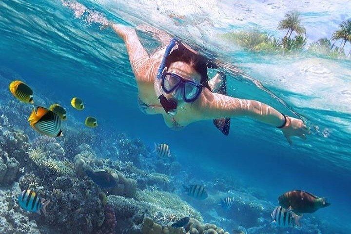 Snorkeling przy rafie koralowej z kolorowymi rybami i wysepkami w tle podczas rejsu na wyspy Hamata