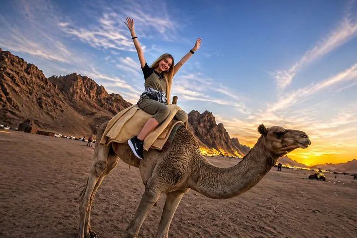 Jazda na wielbłądzie o zachodzie słońca na pustyni w okolicy Sharm el Sheikh podczas Sunset Safari