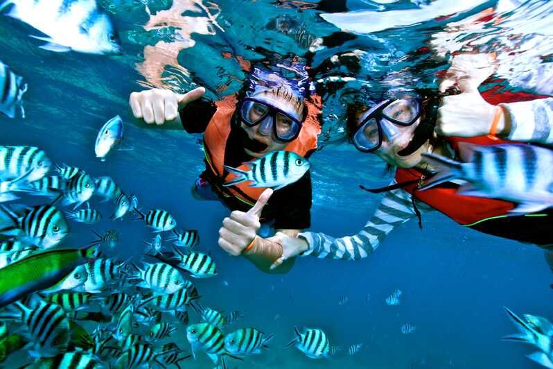 Snorkelujący w kamizelkach pokazują uniesione kciuki wśród ławicy pręgowanych ryb