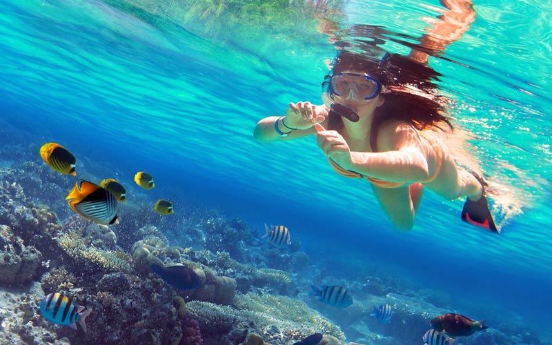 Kobieta snorkeluje w masce tuż pod powierzchnią nad rafą koralową wśród ryb motylowych i pręgowanych w przejrzystym Morzu Czerwonym