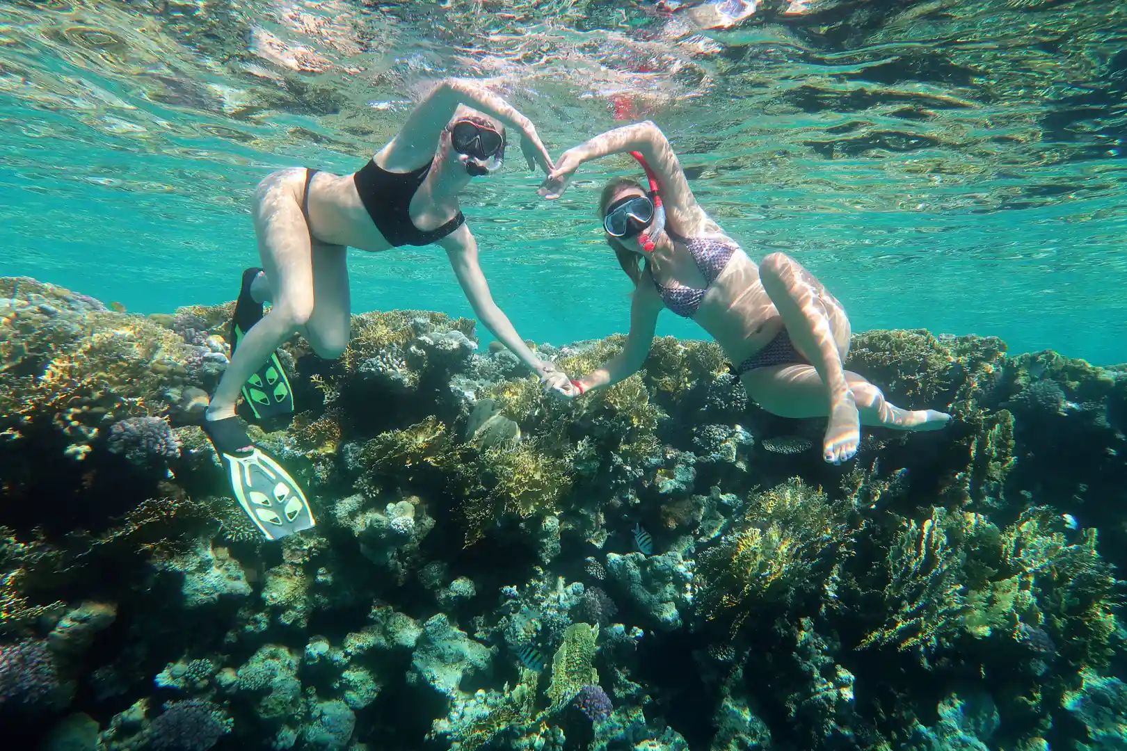 Dwoje snorkelujących nad kolorową rafą koralową z tropikalnymi rybami - snorkeling przy Wyspie Tiran