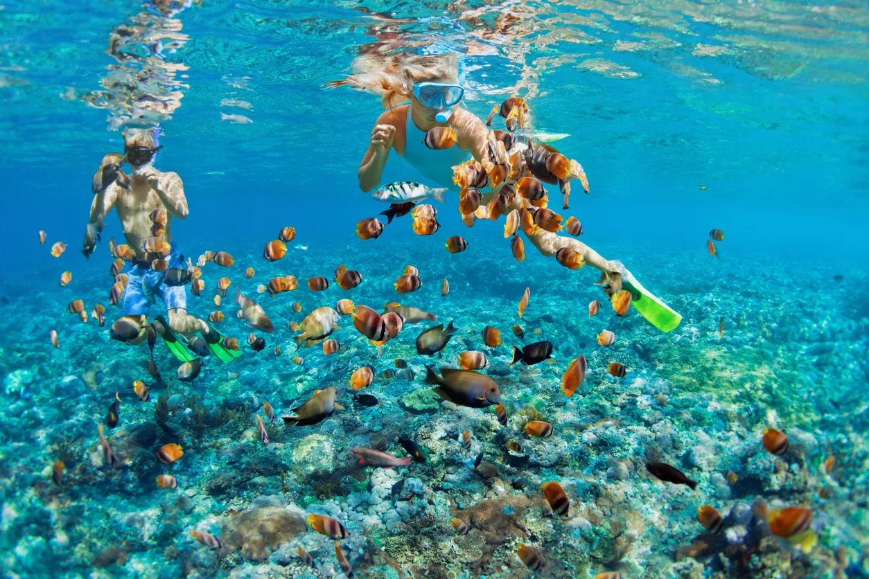 Snorkeling nad płytką rafą koralową z ławicą tropikalnych ryb - Morze Czerwone podczas rejsu z Sharm el Sheikh