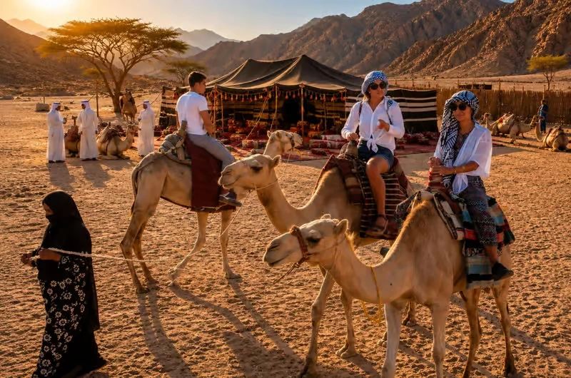 Uczestnicy na wielbłądach przy beduińskim namiocie, w tle góry, podczas Jeep Safari z Marsa Alam