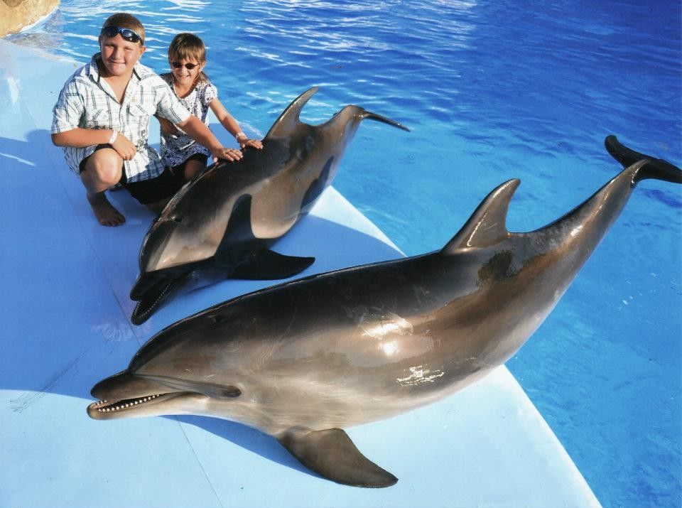 Dzieci pozujące z delfinami przy basenie podczas wizyty w delfinarium