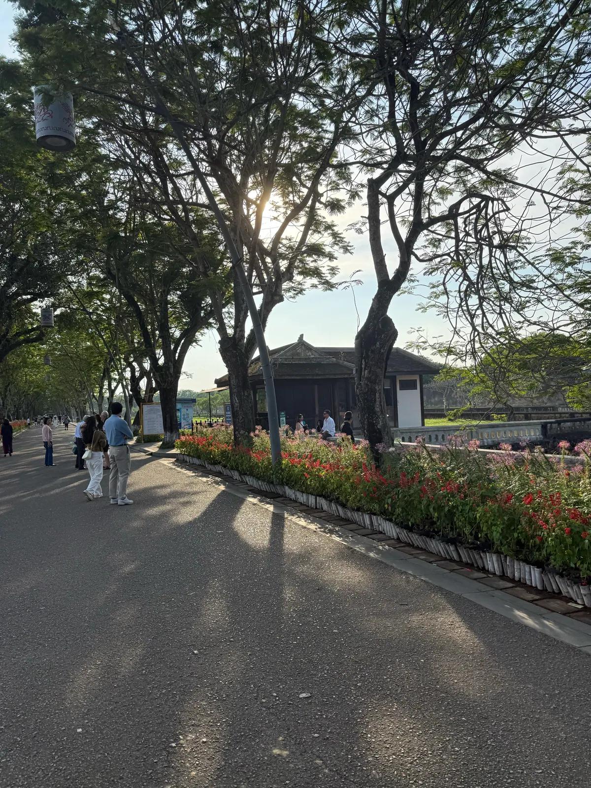 The tree-lined avenue running along the Hue citadel wall