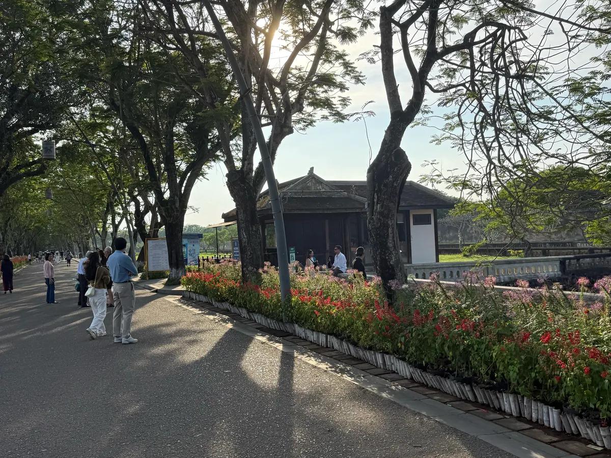 The tree-lined avenue running along the Hue citadel wall