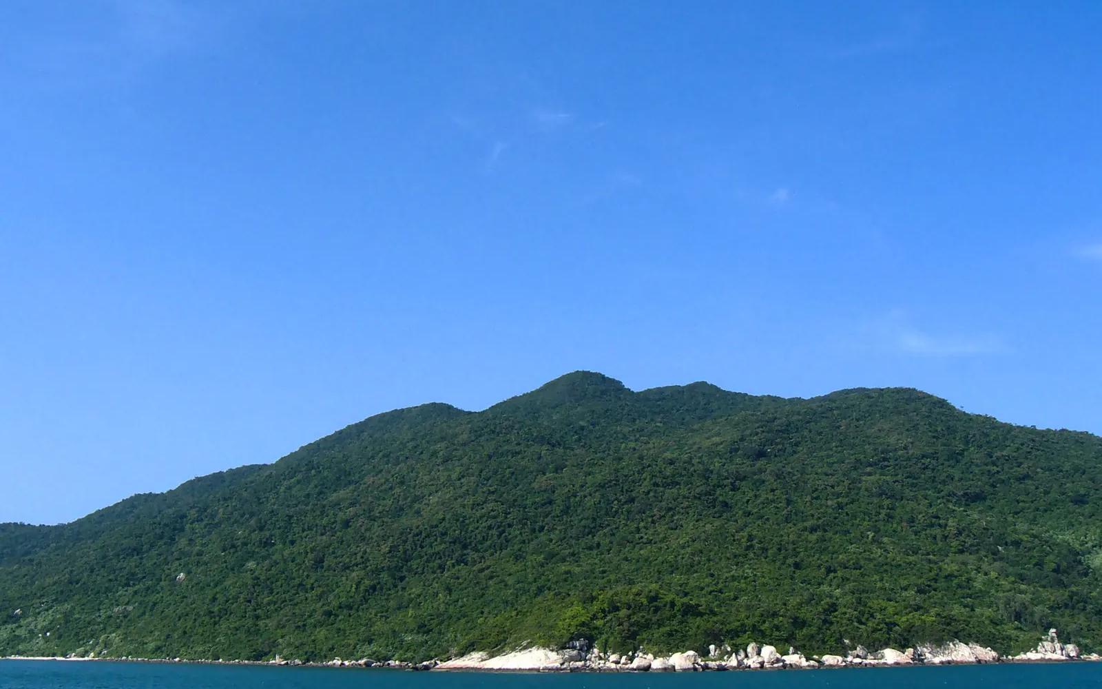 Snorkelling the shallow reef
