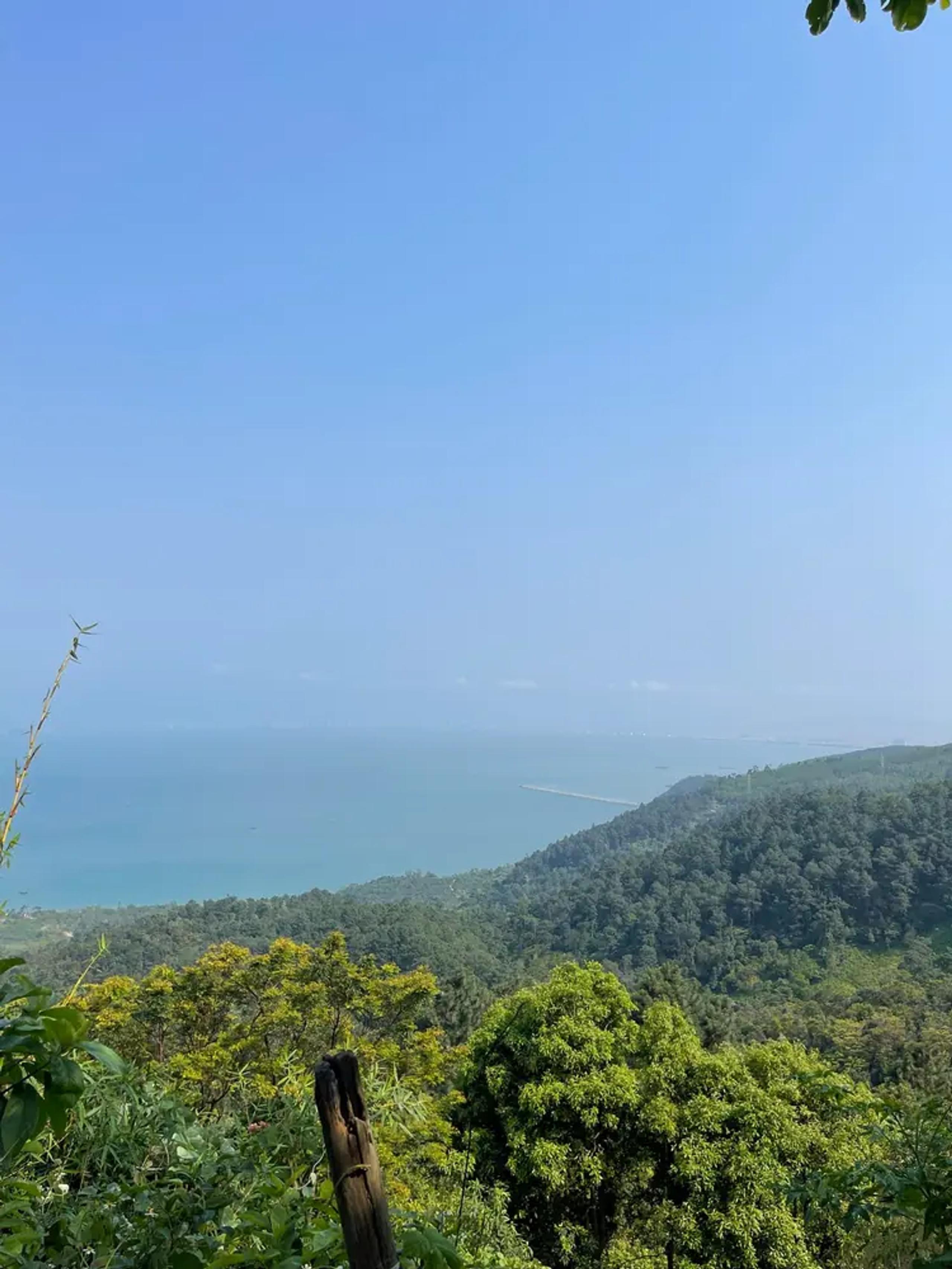 The coastline and forested slopes seen from the top of the Hai Van Pass