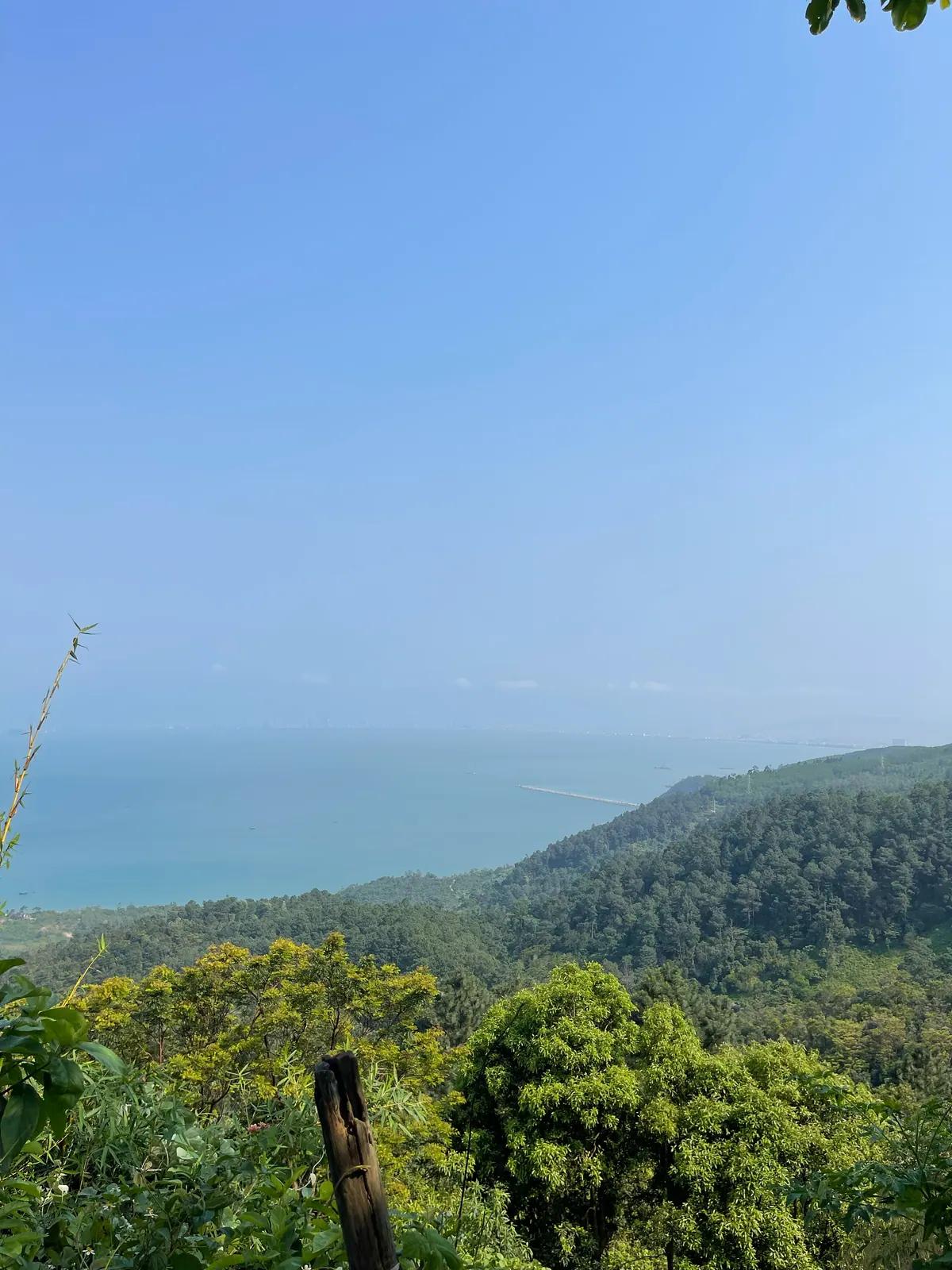 The coast and forested slopes seen from the top of the Hai Van Pass