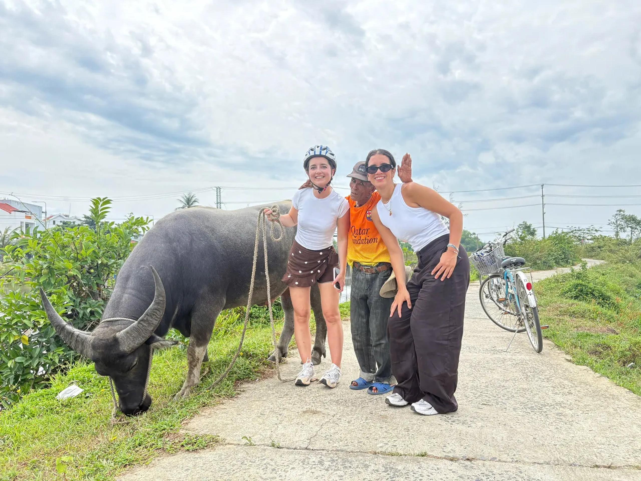 Two guests and a farmer beside a water buffalo on a paddy path, bicycles behind them