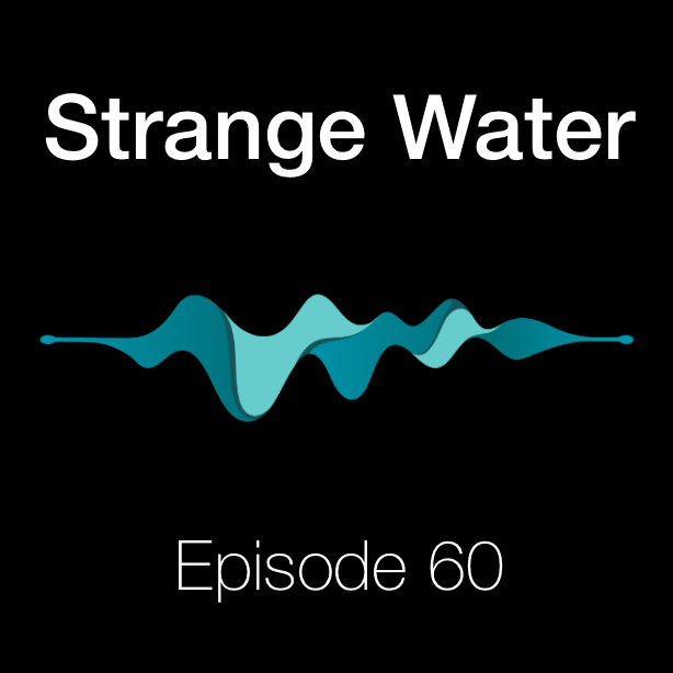 The Endgame of Data Availability w/ Prabal Banerjee (Avail)