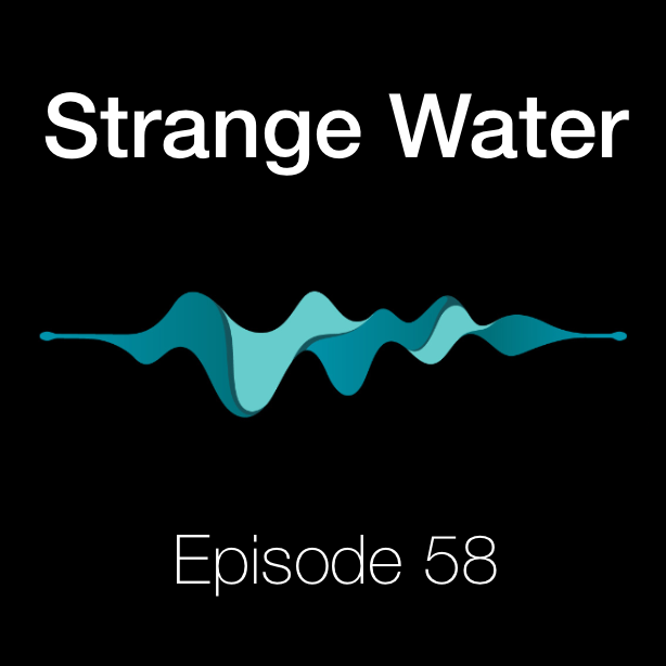 Solving Fragmentation in the Rollup-Centric Paradigm w/ Austin King (Omni Network)