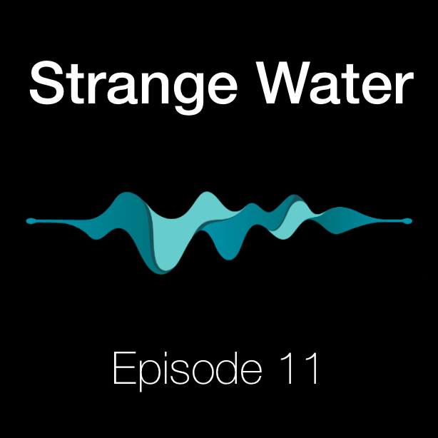A Sober, Bullish Conversation on NFTs w/ Matt Silverman
