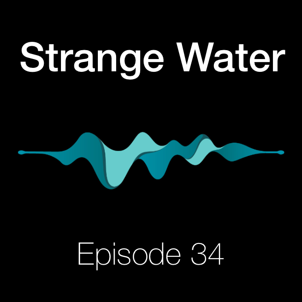 Authoring a New Language for the EVM w/ Charles Cooper (Vyper)