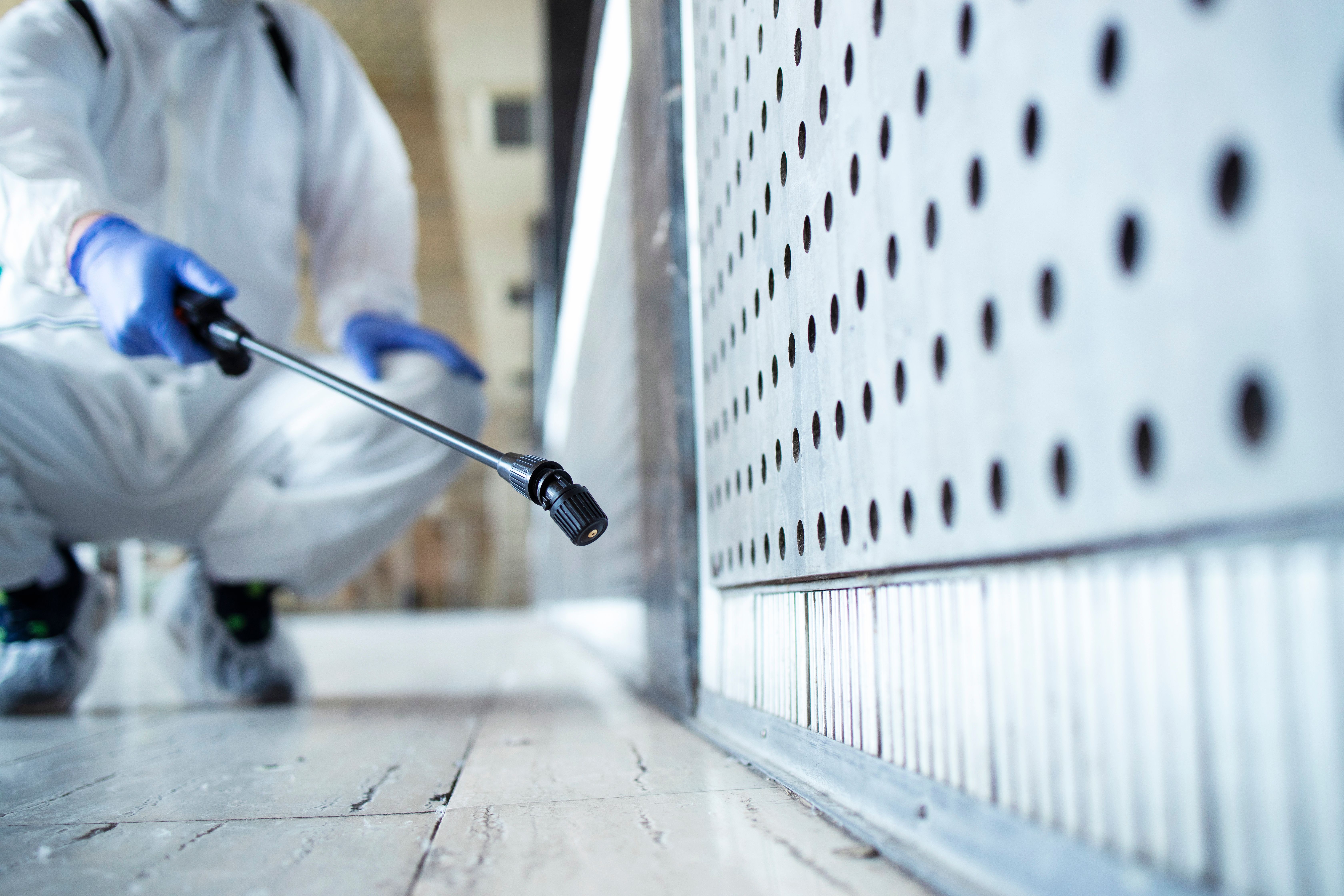 Are Landlords Responsible for Pest Control in Illinois?