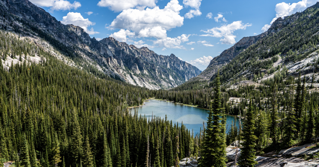Montana Squatter's Rights & Adverse Possession Laws