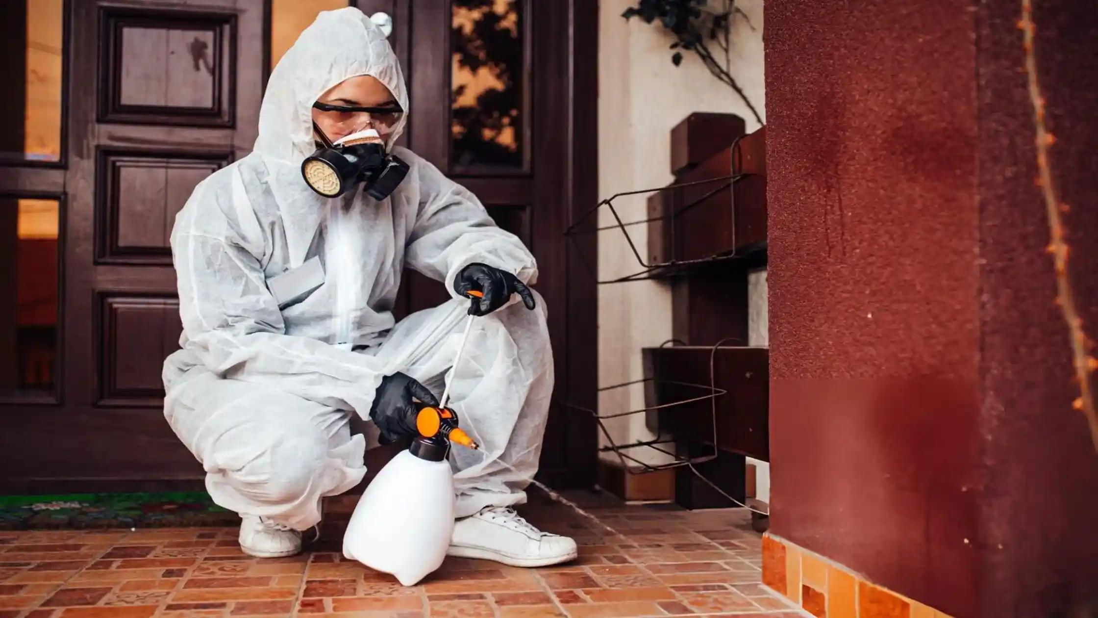 Are Landlords Responsible for Pest Control in NC?