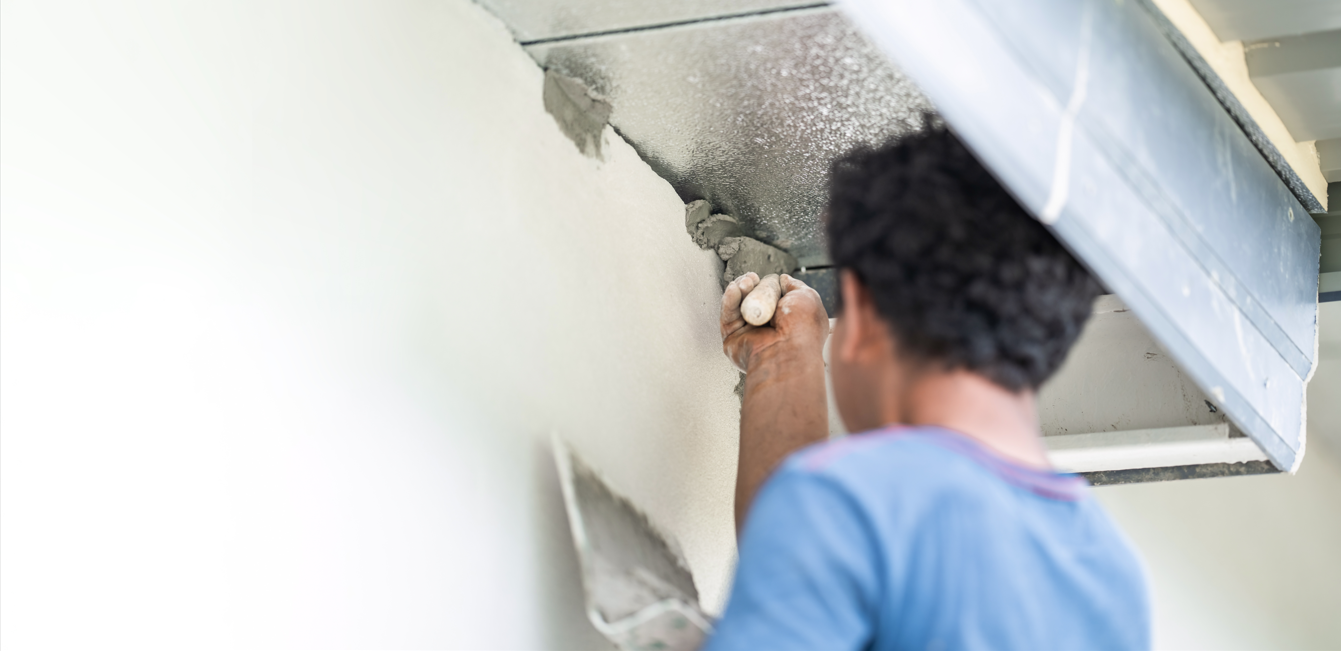 Is Landlord Responsible for Mold? Laws and Obligations Explained
