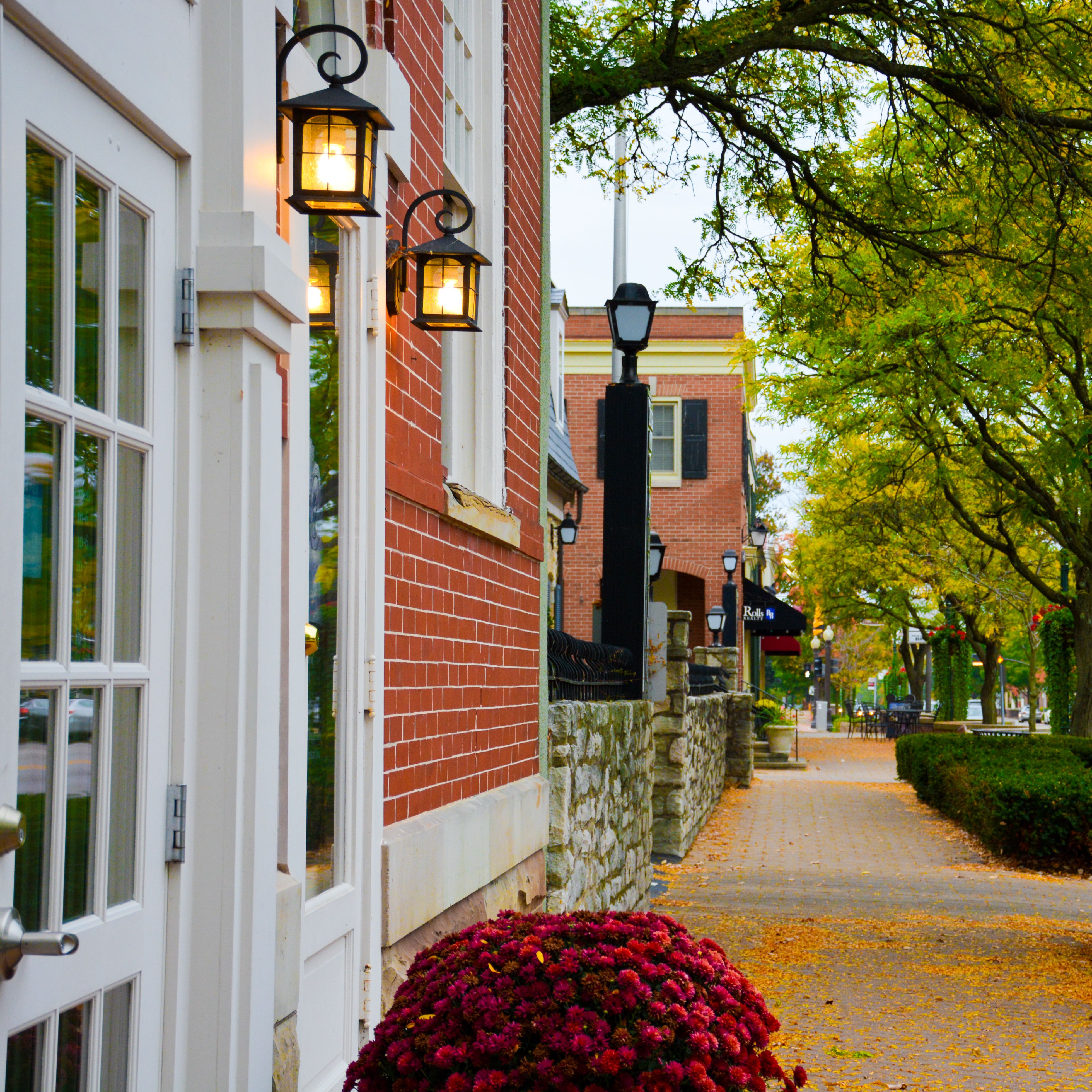 Illinois HOA Laws: A Comprehensive Guide