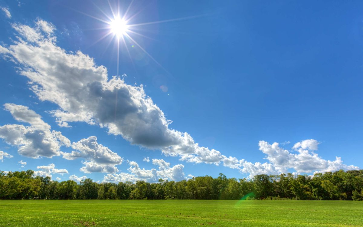 Summer Survival Guide: 8 Maintenance Moves That Protect Your Property (and Your Tenants)