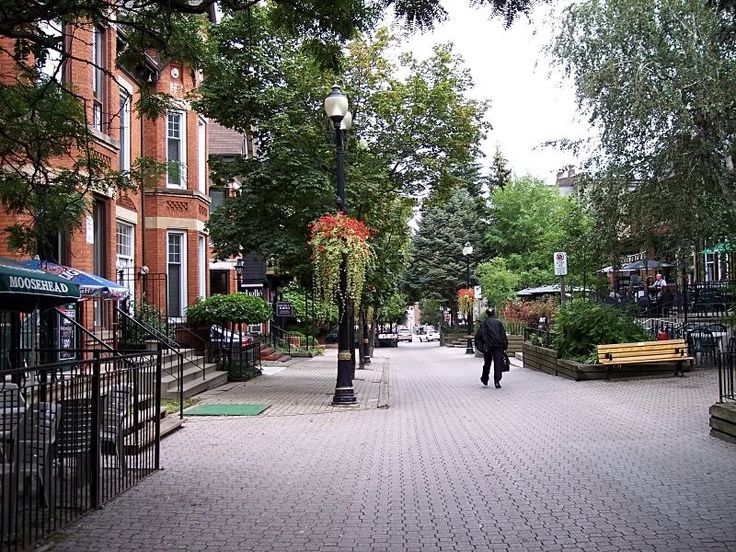Best Apartments for Rent in Hamilton Top Areas