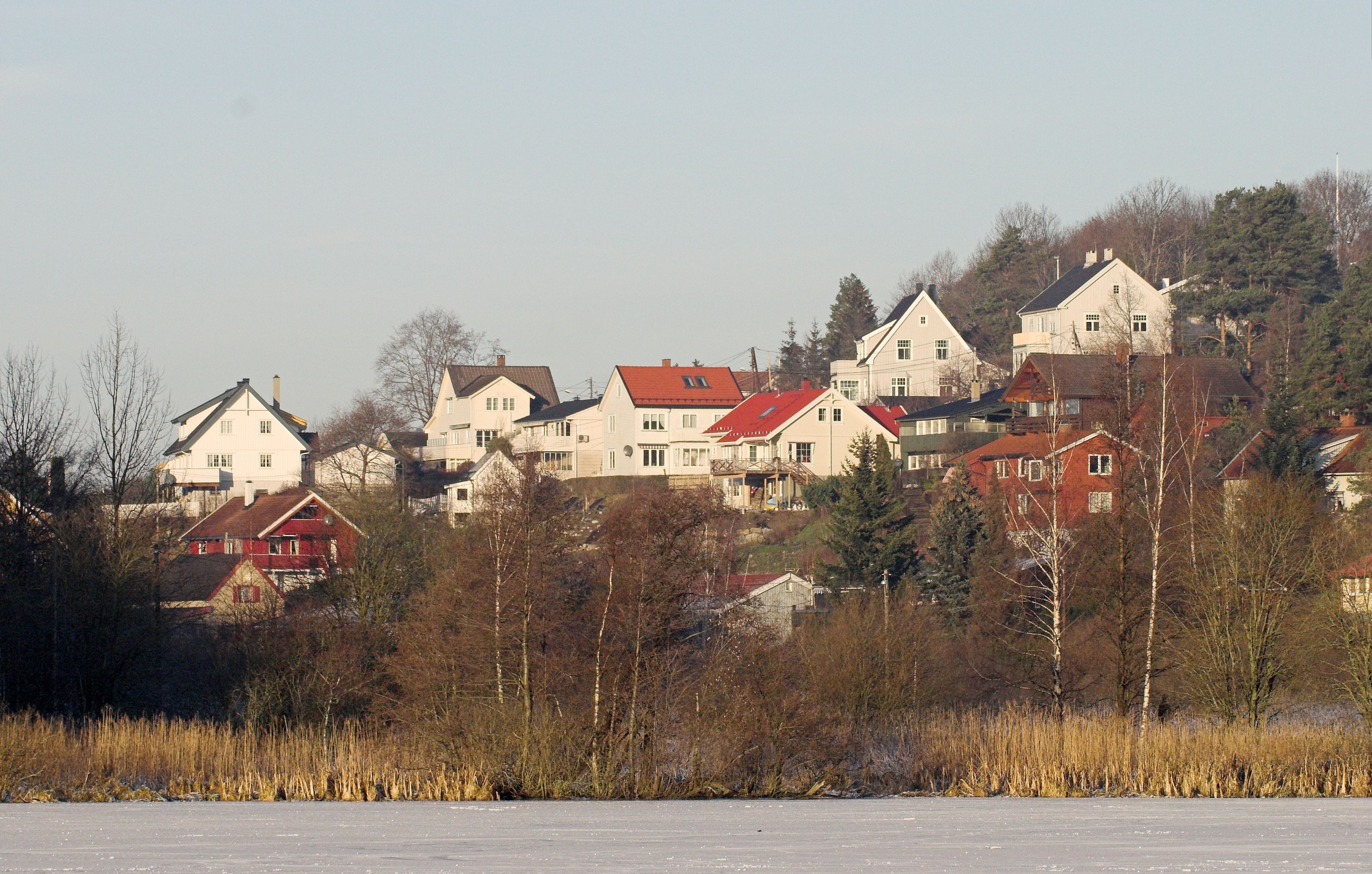 Article Header Image