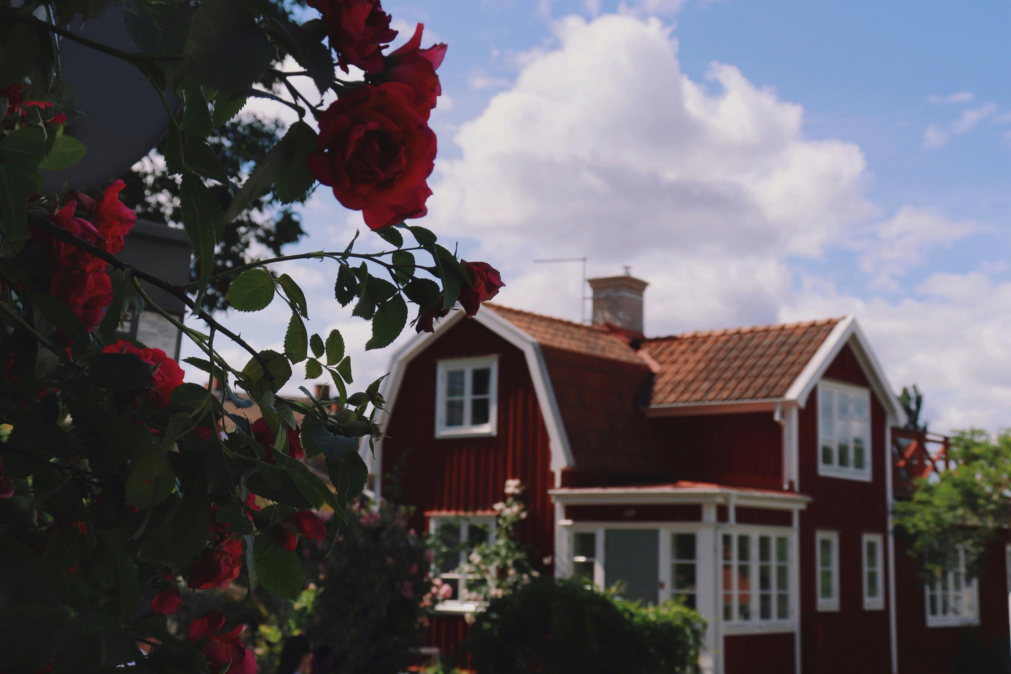 Article Header Image