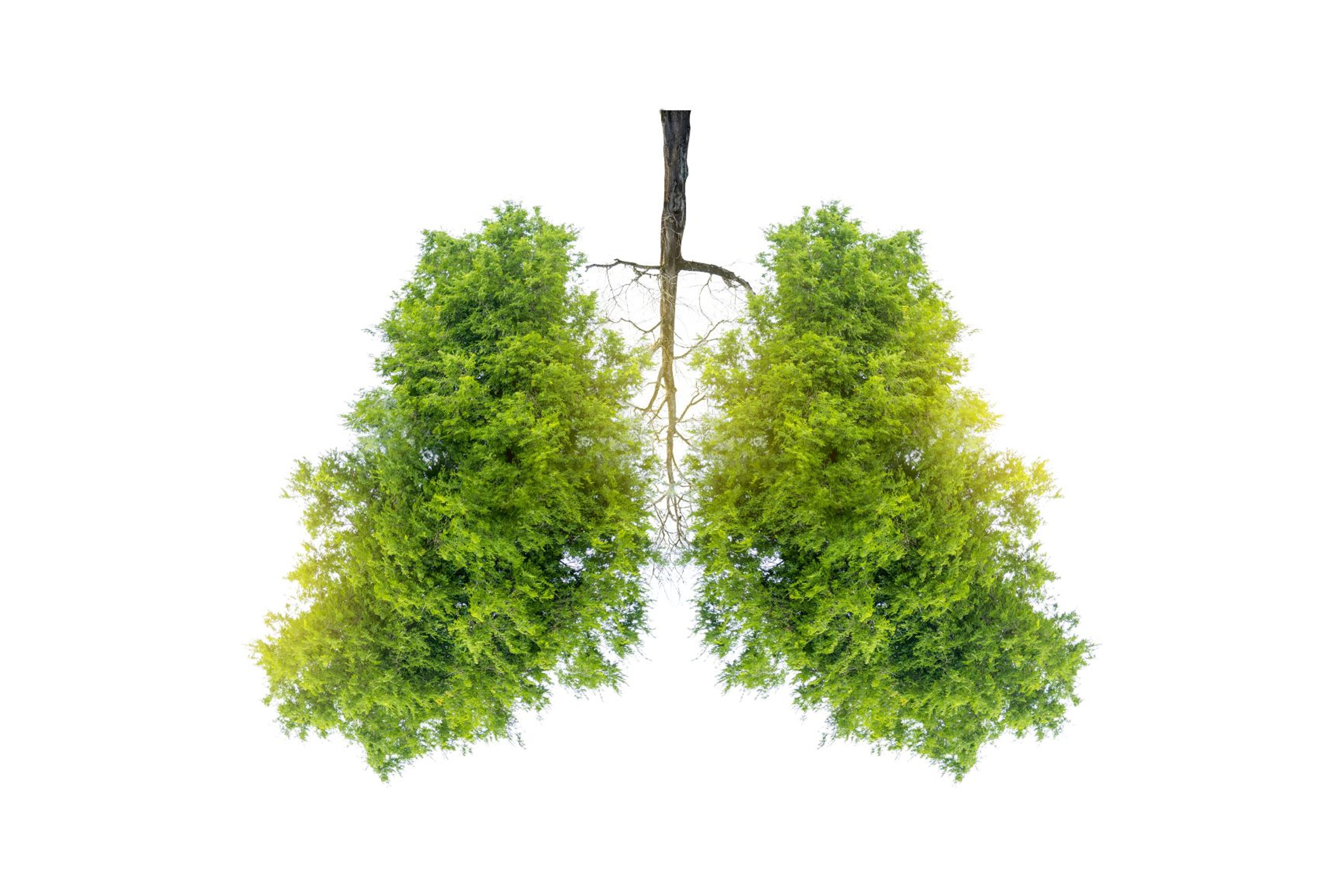 Article Header Image