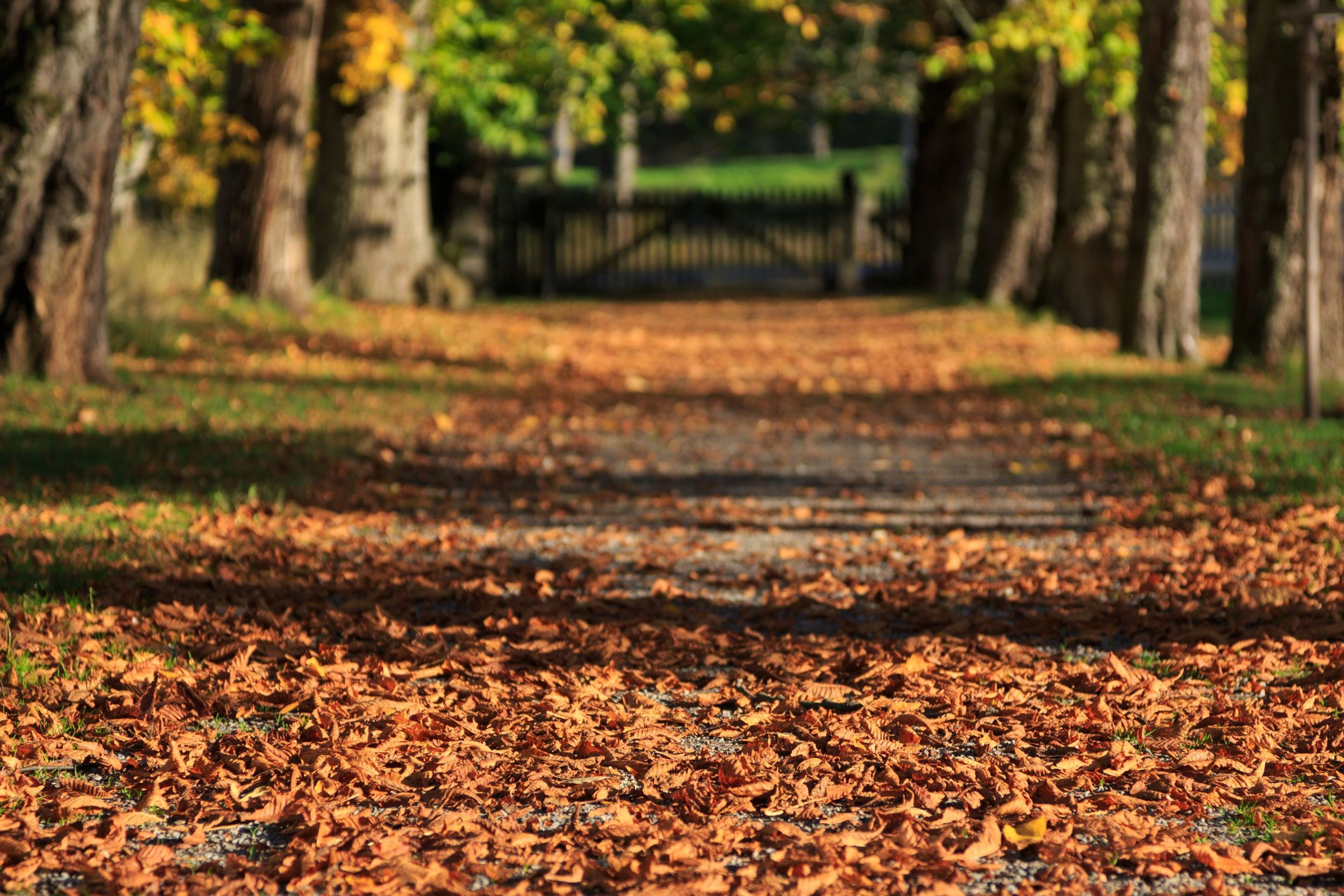 Article Header Image