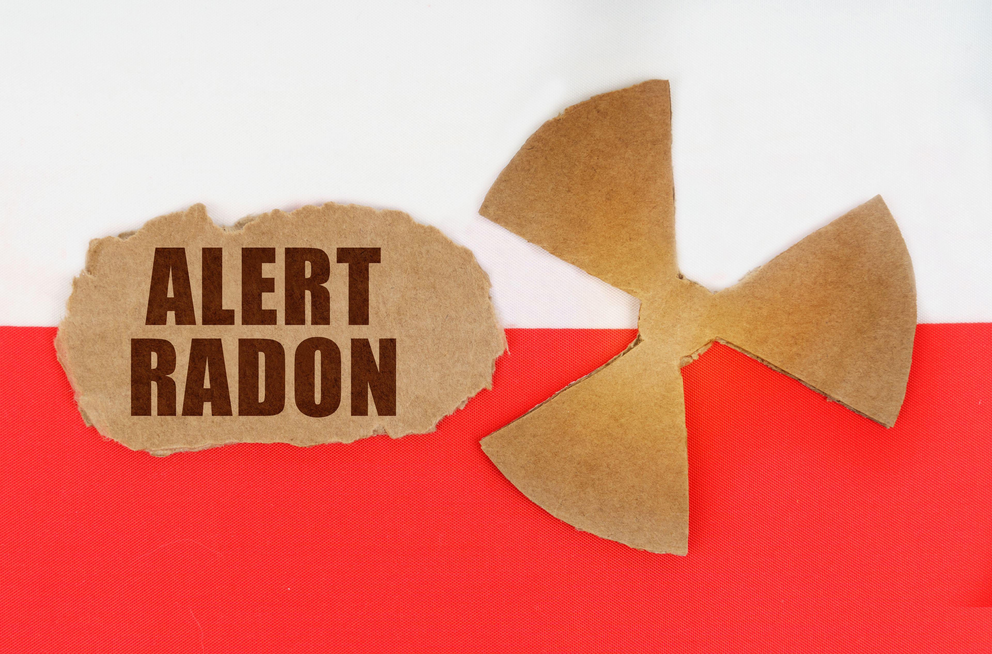 Article Header Image