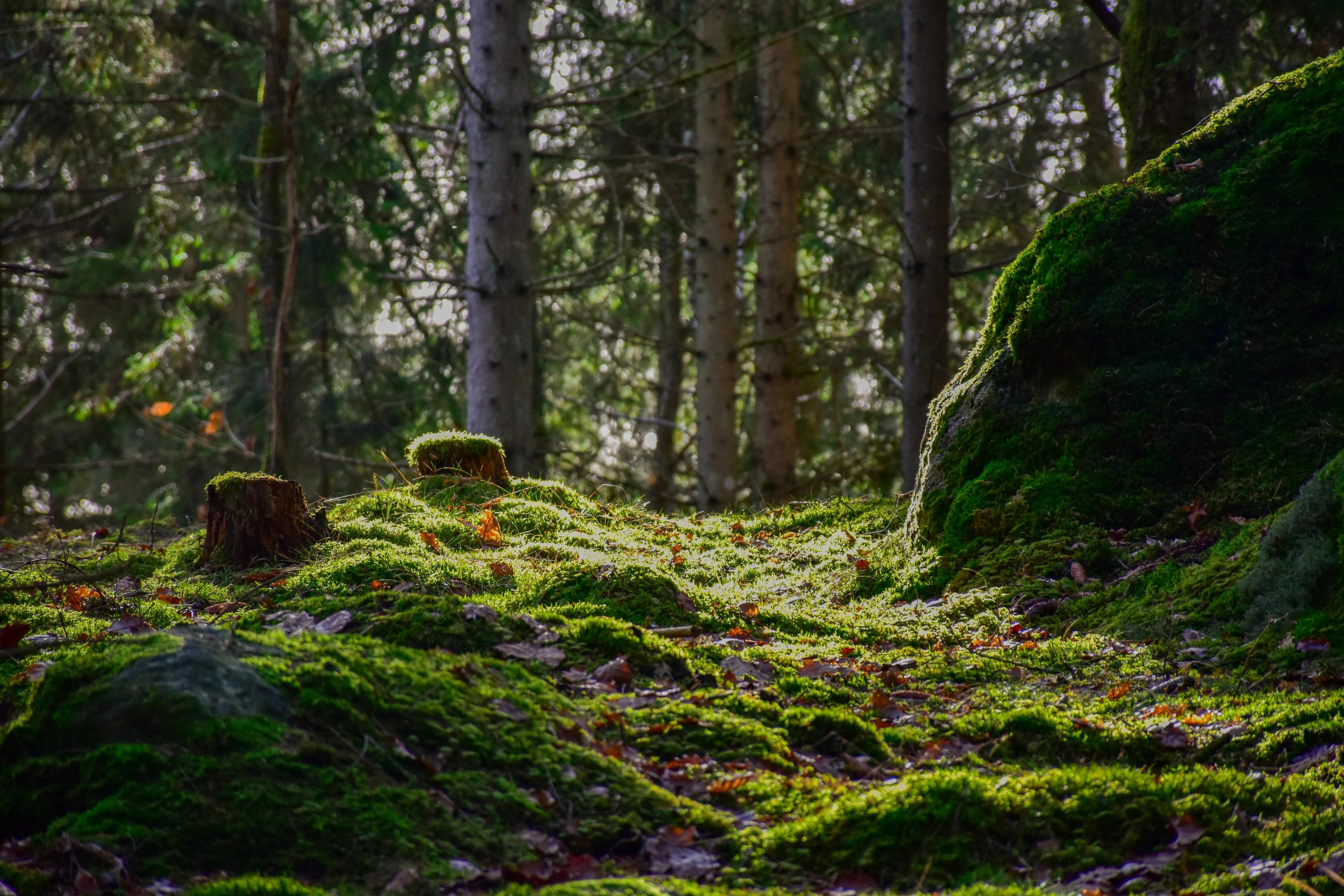 Article Header Image