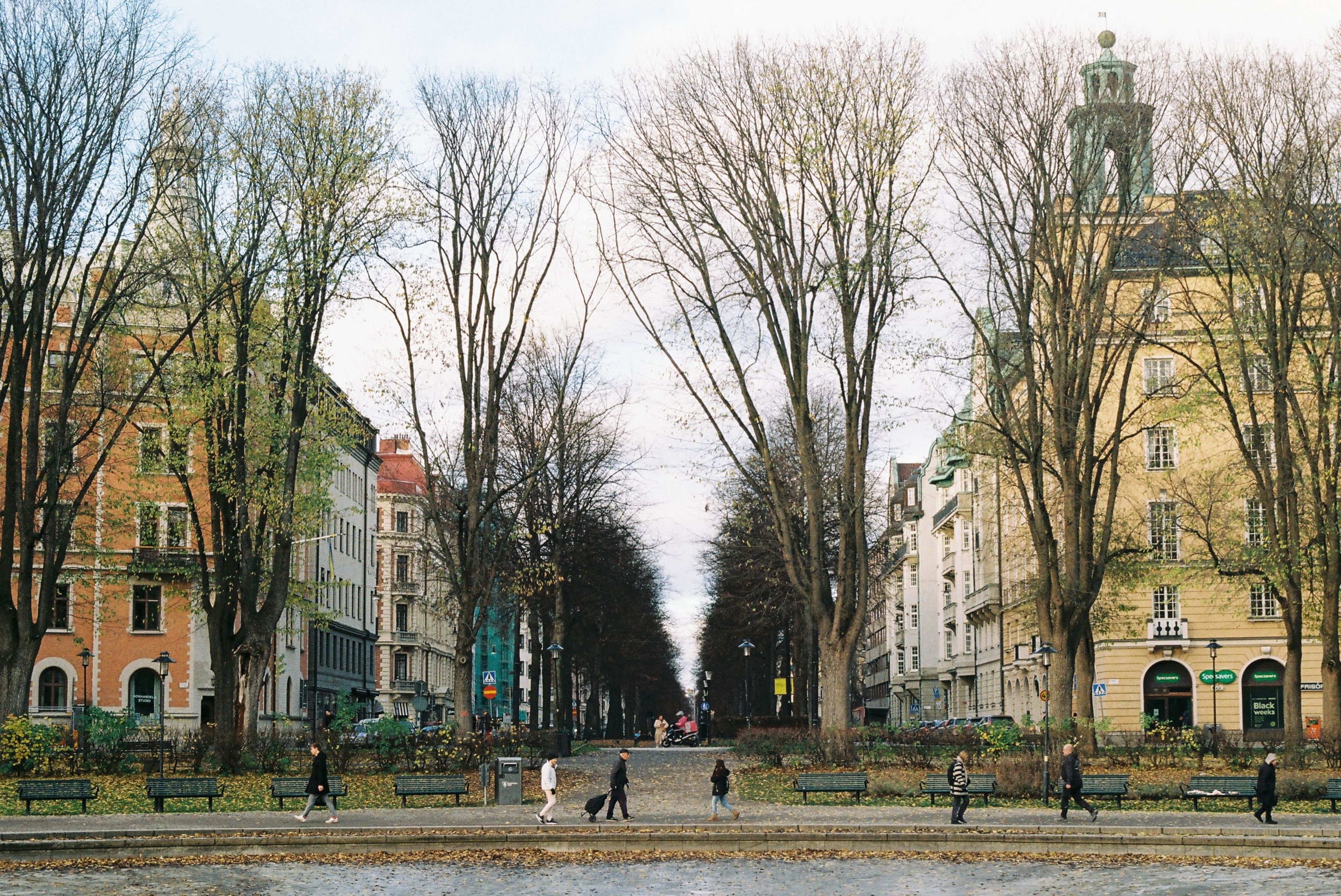 Article Header Image