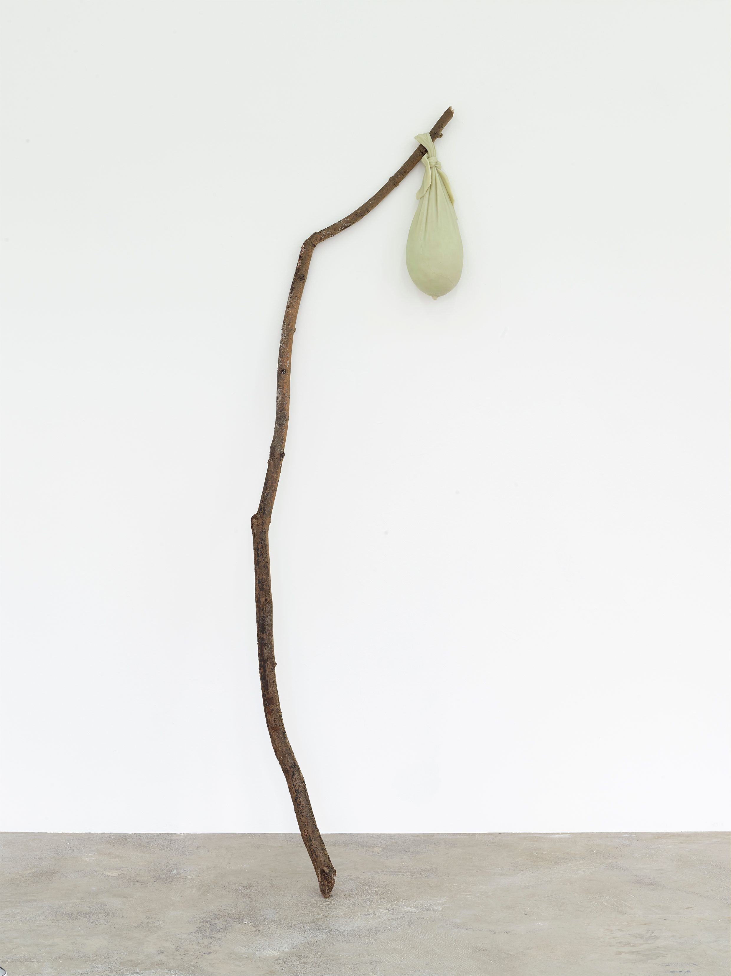 Spare Ribs III, 2016 