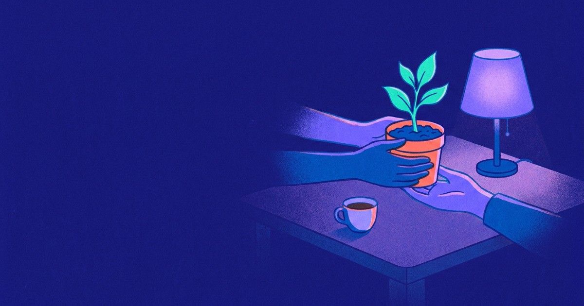 Two hands passing a potted seedling across a lamp-lit table: continuity of care after a mental health crisis