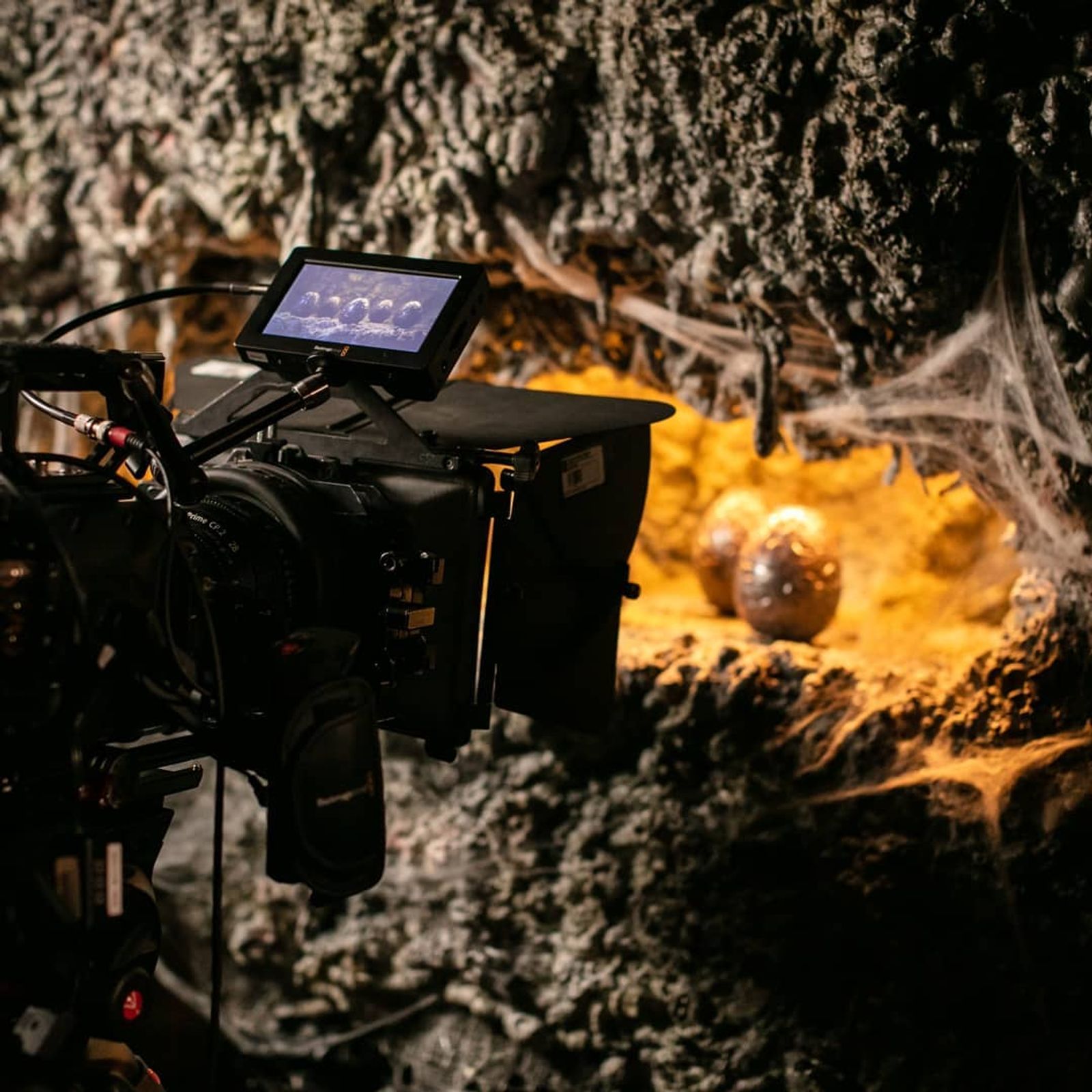Breakout Beasts BTS