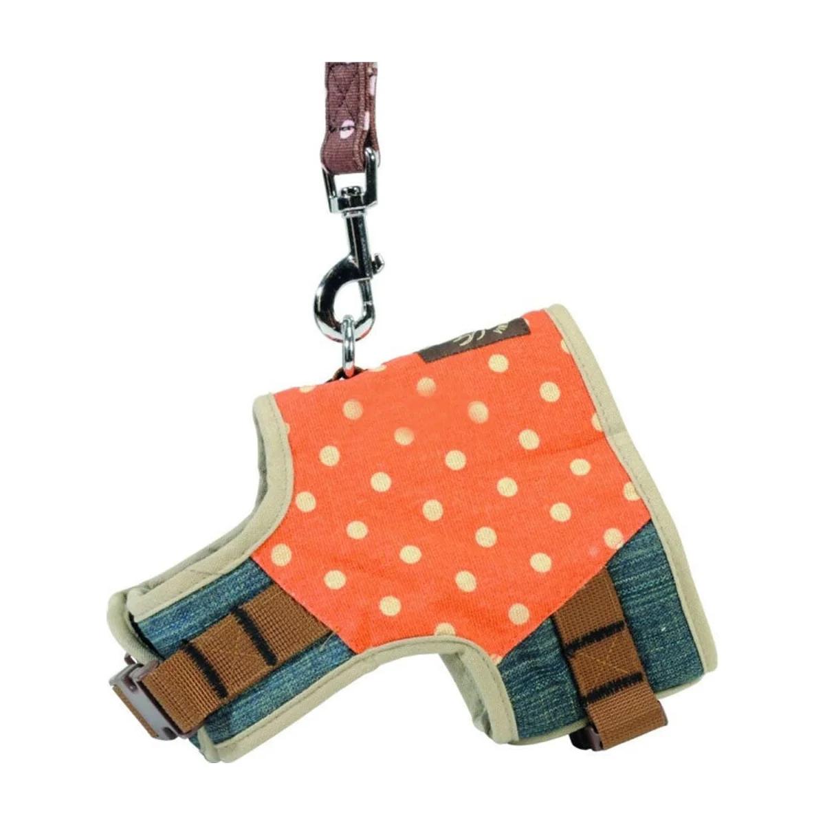 Harnais avec laisse assortie pour chien taille L (55-60 cm)