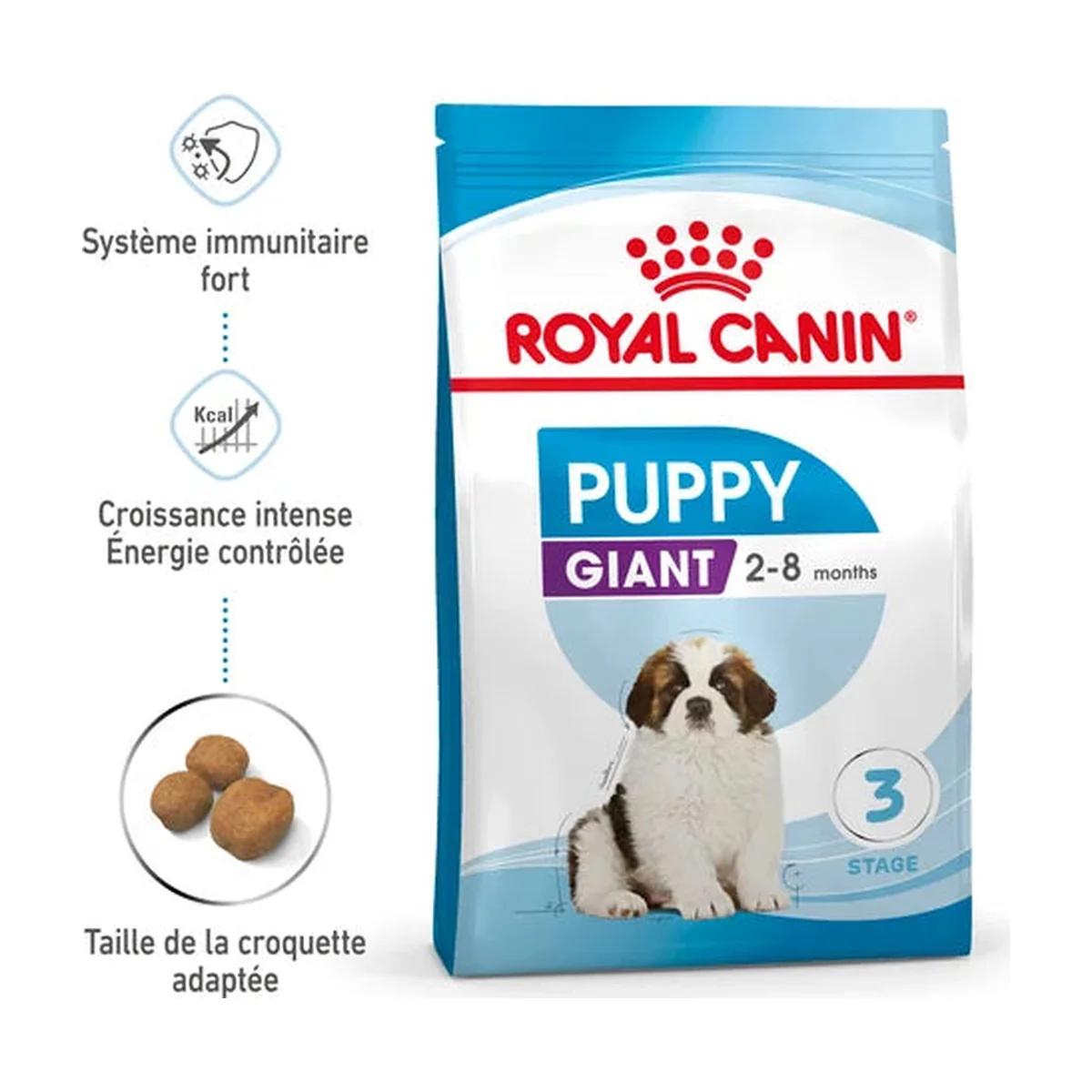 Royal Canin Giant Puppy croquettes pour chiot de race géante 15 kg