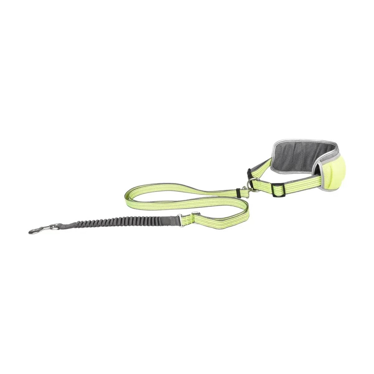Flamingo Laisse de jogging Rono bleue avec ceinture ventrale pour chien, Flamingo à Casablanca