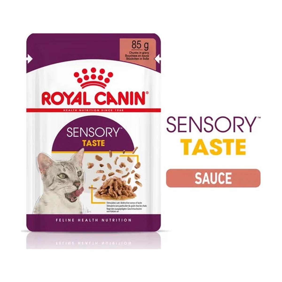 Royal Canin Sensory Taste pâtée en sauce pour chat 85 g