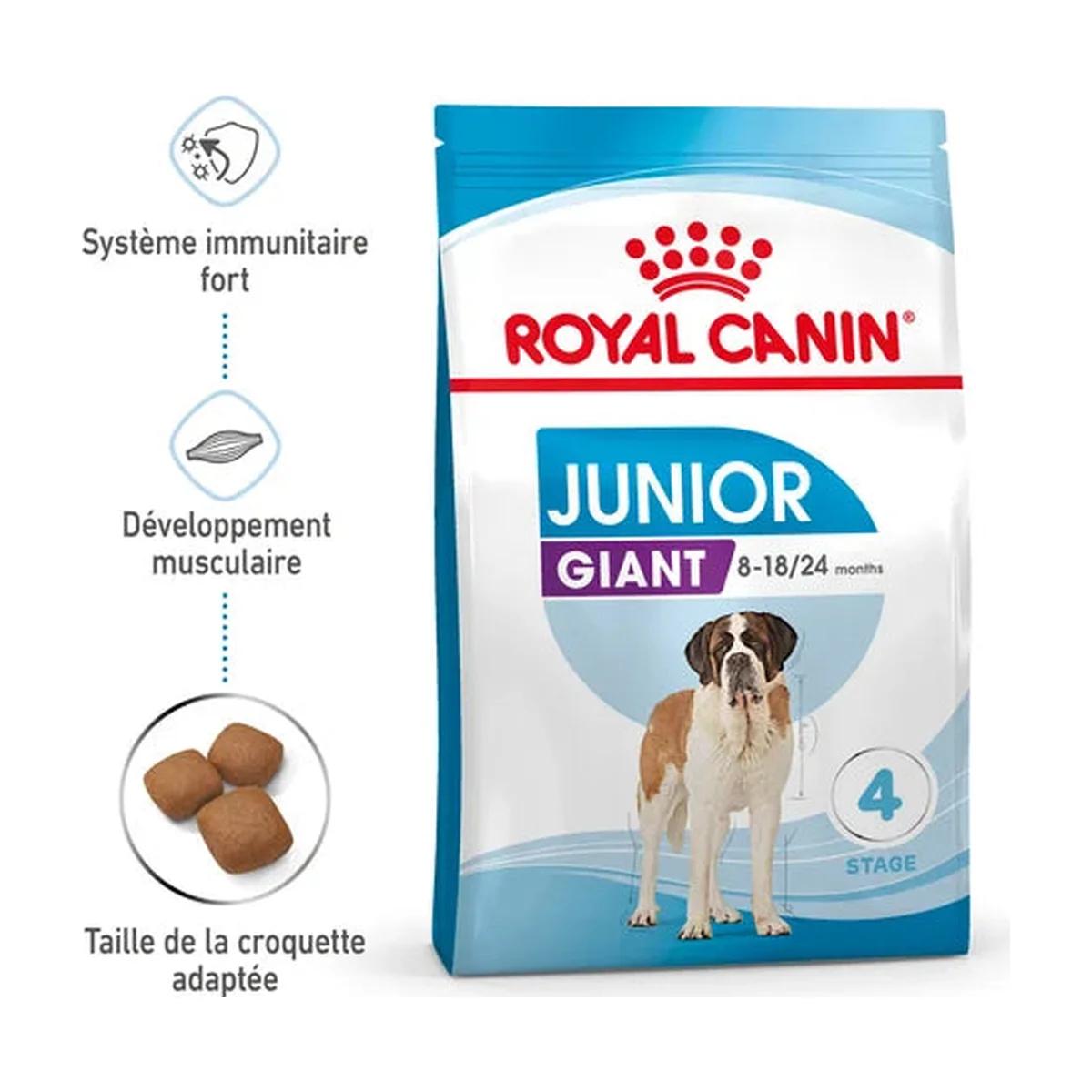Royal Canin Giant Junior croquettes pour chiot de race géante 15 kg