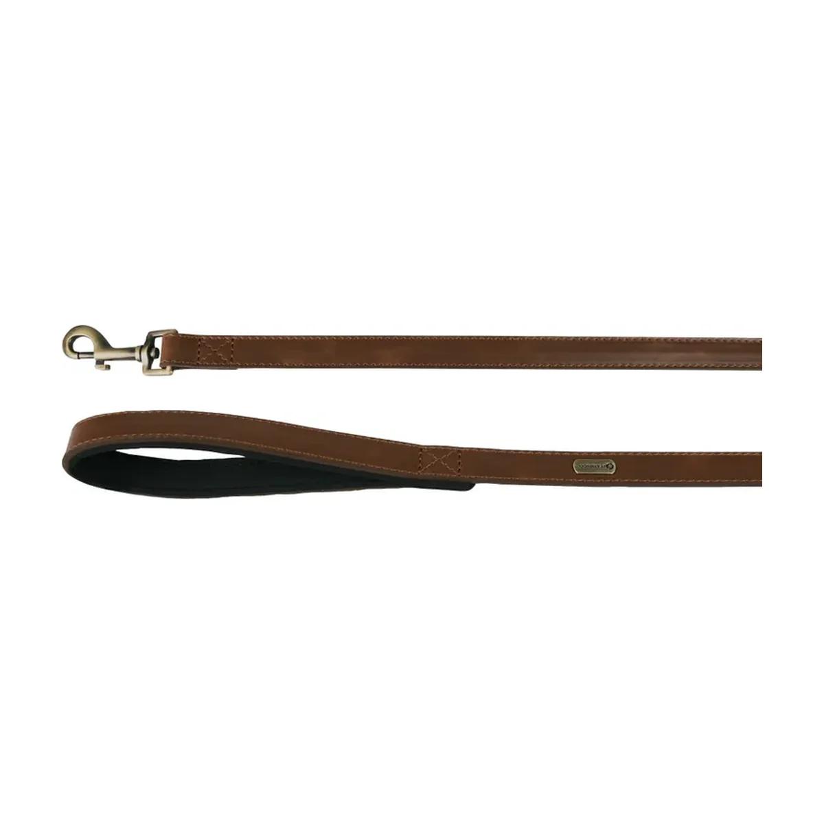 Laisse en similicuir Lyabo avec néoprène pour chien, brune