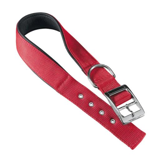 Ferplast Collier Daytona pour chien rouge 15/35 (27-35 cm, largeur 15 mm)
